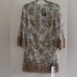 NWT Bronx and Banco Becca Sheer Beaded Dress Size 2 Fringe Sleeves